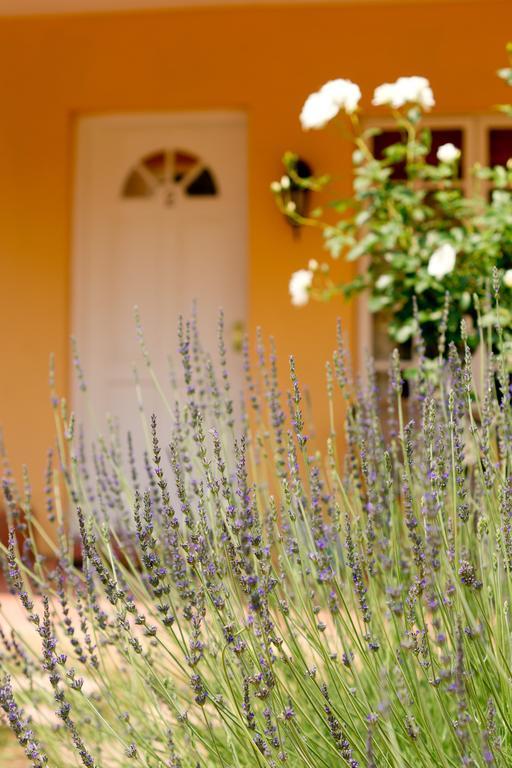 Little Tuscany Boutique Hotel Johannesburg Bagian luar foto